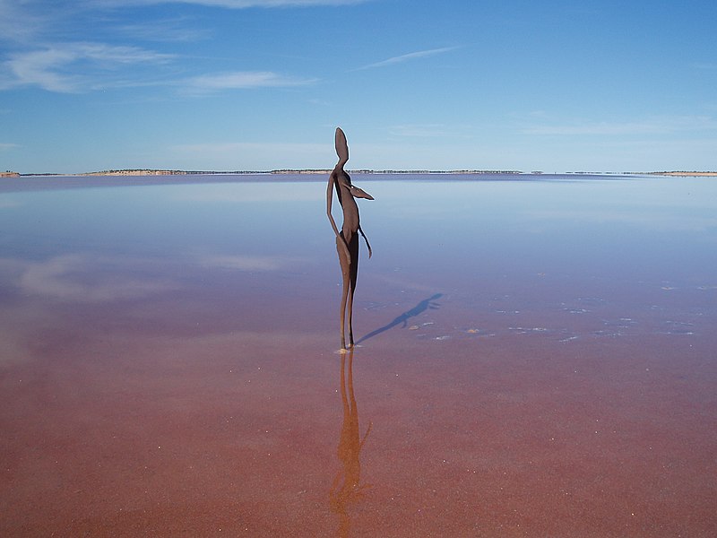 File:Inside Australia. Lake Ballard. WA (3423933075).jpg