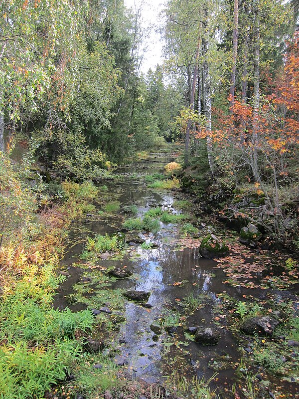 Järvijoki