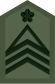 JGSDF Sergeant Major insignia (miniature).svg