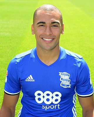 <span class="mw-page-title-main">James Vaughan (footballer, born 1988)</span> English footballer