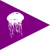 Jellyfish Beach Flag.svg