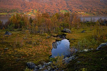 Jietanasdievval, a Sami sacred spring, Troms, Tromsø Fotografia: Siri Uldal Licenza: CC-BY-SA-3.0