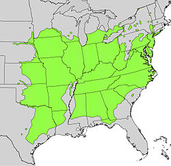 Distribución natural