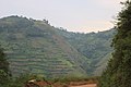 Kabale, Kisoro, Kanungu - Southwestern Uganda 03.jpg
