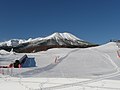 2010年3月20日 (土) 14:00時点における版のサムネイル