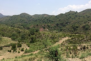 <span class="mw-page-title-main">Karak, Pakistan</span> City in Khyber Pakhtunkhwa, Pakistan