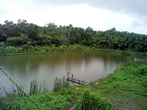 Karamjhal, Sundarban Karamjhal, Sundarban, Khulna 03.jpg