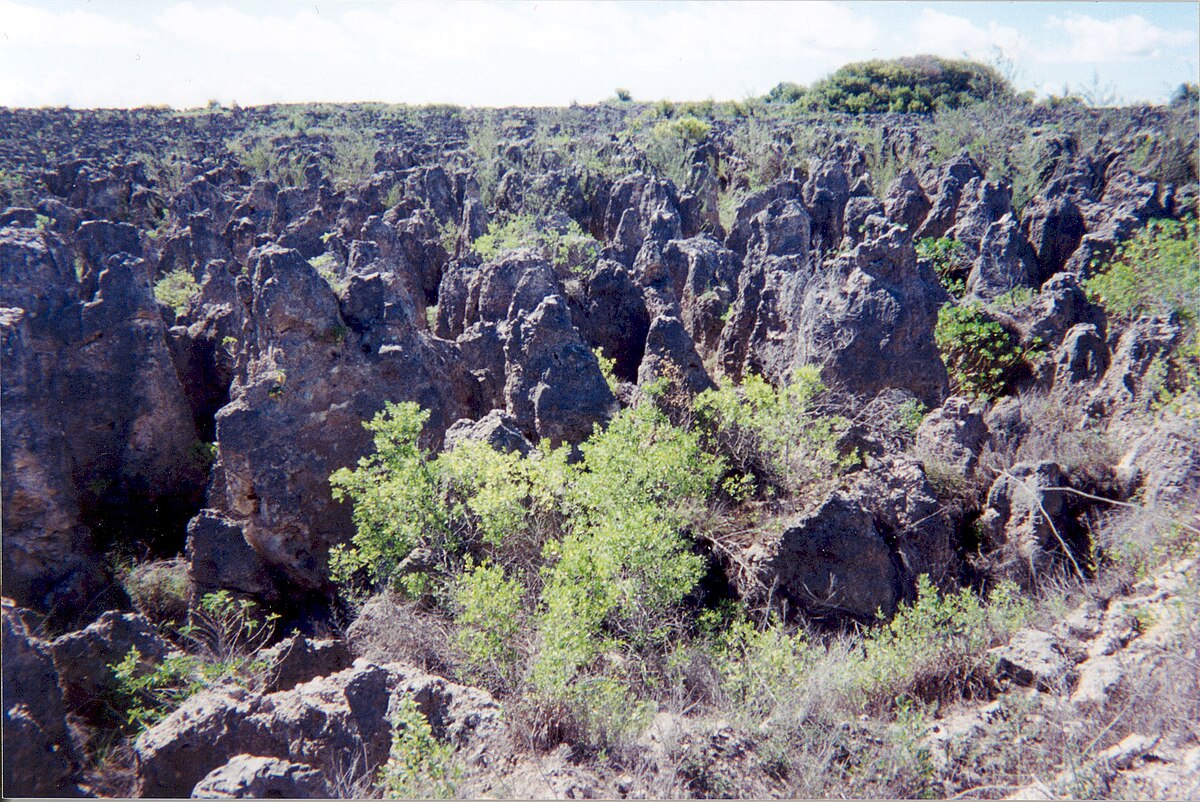 Chapter 4 : Land Degradation — Special Report on Climate Change