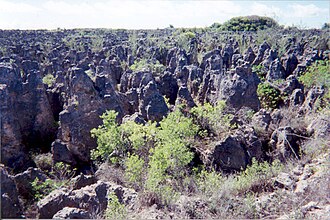 A limestone karst on Nauru Island influenced by phosphate mining. Karst following phosphate mining on Nauru.jpg