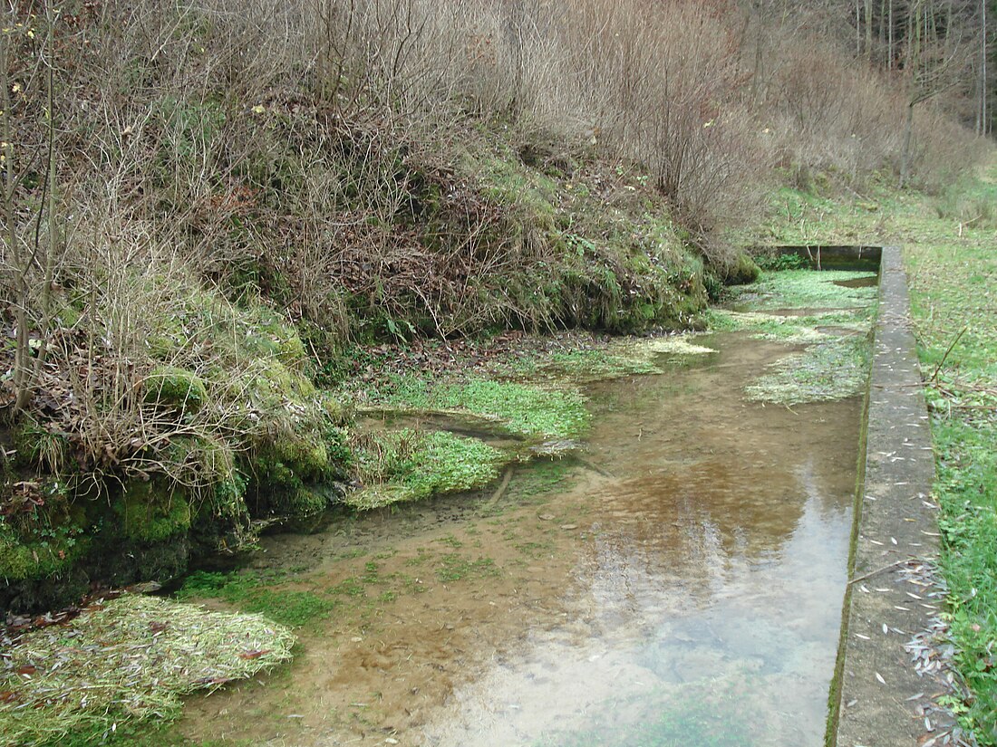 Karstquelle Ehrhardsmühle