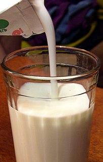 Kefir fermented milk drink