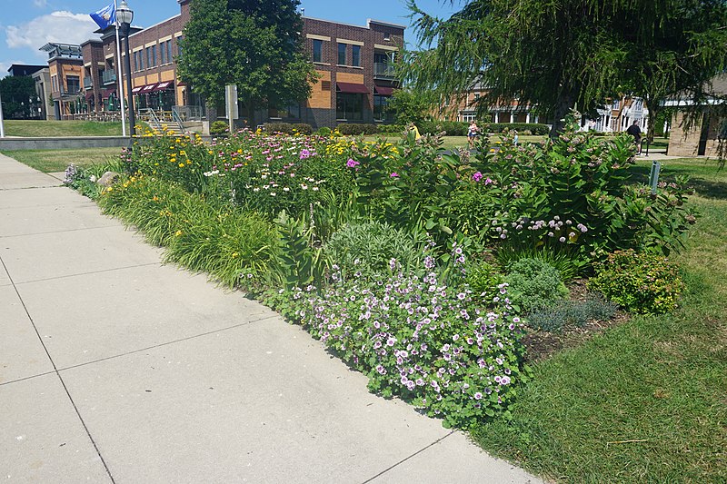 File:Kenosha July 2022 118 (Monarch Waystation).jpg