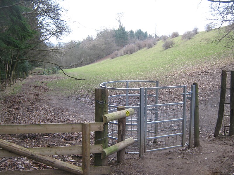 File:Kissing Gate near Tower Wood - geograph.org.uk - 1757205.jpg