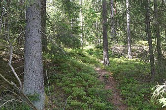 Kroksjöns naturreservat04.jpg