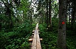 Vignette pour Parc national de Petkeljärvi