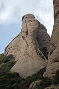Montserrat: Etimologia, Geografia i geologia, Vegetació