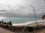 Platja de la Desenrocada (Sitges)