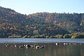 Piedras del lago Chambon.jpg