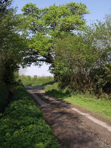 File:Lane from West Raddon - geograph.org.uk - 431097.jpg