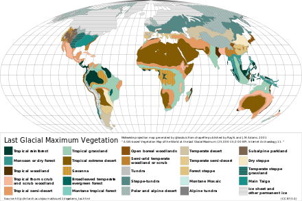 Vegetation types at the time of Last Glacial Maximum