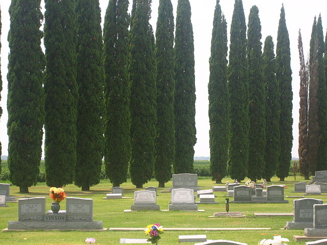 Legion Memorial Cemetery is located north of Newellton off Louisiana Highway 605.