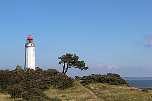 37. Platz: Evionn Neu! mit Leuchtturm Dornbusch auf Hiddensee