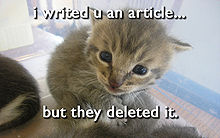 LOLCat Derivative of Image:Kitten-stare.jpg. Captioned with the text "i writed u an article... but they deleted it."