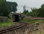 Longlands Tunnel.jpg