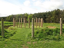 Maelmin Henge, a reconstructed timber circle in England Maelmin - reconstruction of henge - geograph.org.uk - 420781.jpg