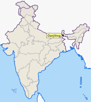 Darjeeling: Kota di India