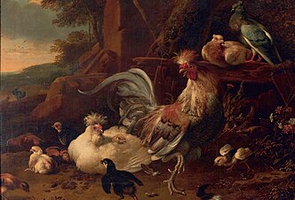 Melchior d'Hondecoeter, Hen, rooster and chickens
