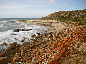 Moana Sands Conservation Park