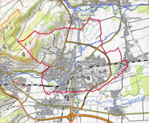 300px molsheim osm 02