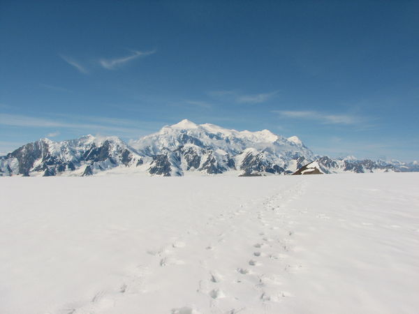 Mount Logan from the North East, as seen from Kluane Icefield