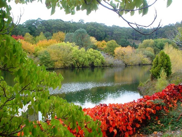 Mount Lofty Botanic Garden