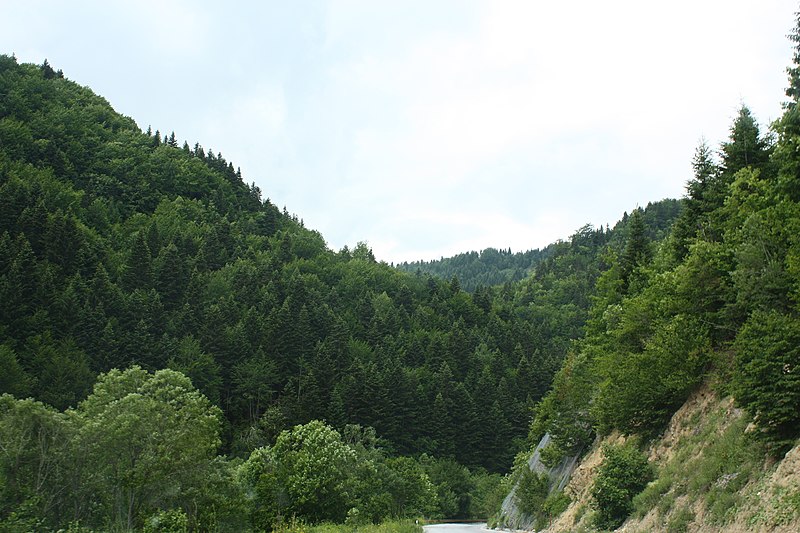 File:NP Mavrovo (4).JPG