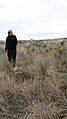 NTIR staff standing amongst the Yucca that is growing from the ruts and swales, at the Cimarron National Grassland (e61ea172b59040b9bdb61d112d40b0c2).JPG