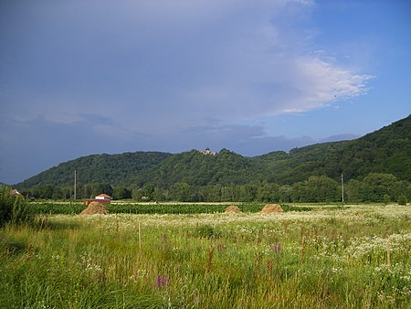 Uzhhorodskyi (huyện)