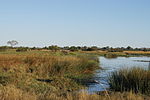 Zuflüsse und Randgebiete des Okavangodeltas