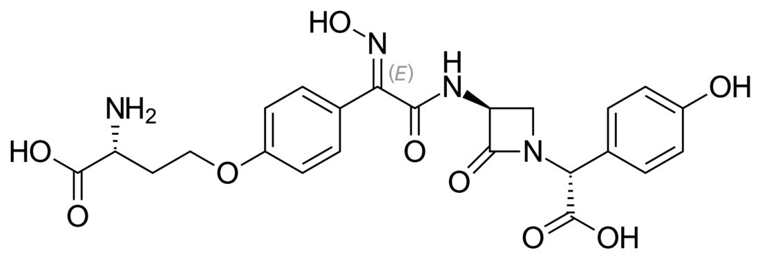 Nocardicin A