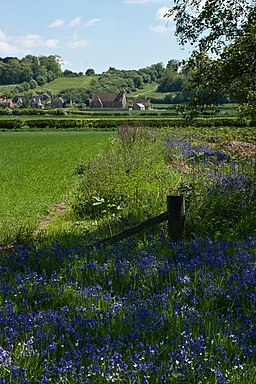 North Cliffe IMG 3501 - panoramio