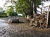 North terrace walls, Utkinton Hall.jpg