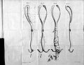 Obstetics; forceps, (1802) Wellcome L0023942.jpg