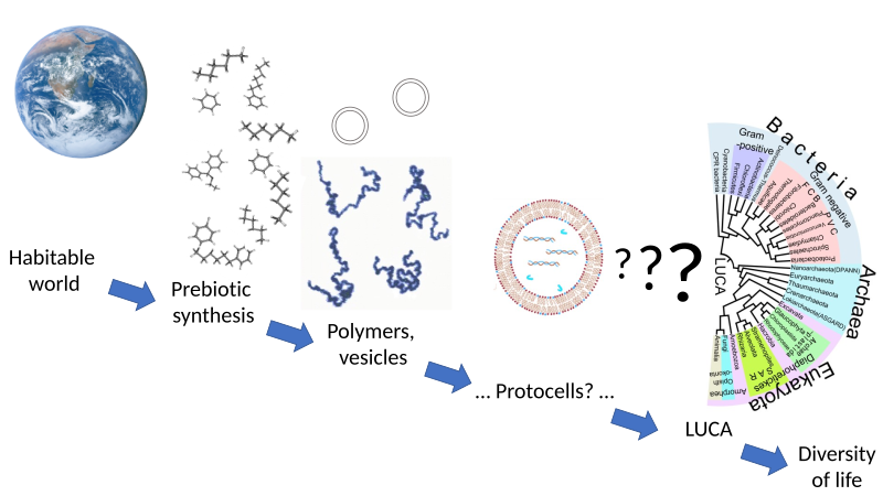 File:Origin of life stages.svg