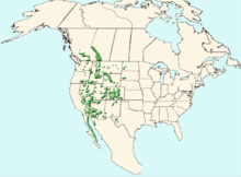 Ovis canadensis-map.png