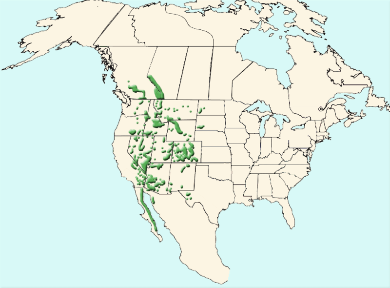 File:Ovis-canadensis map.png