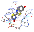 Миниатюра для Файл:Oxyluciferin-Luciferase.Micro.png