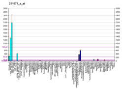 PBB GE VCAN 211571 s, fs.png'de