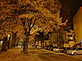 Ustka, ul. Grunwaldzka jesienną nocą