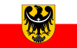 Drapelul Poloniei: Design, Utilizarea, Protocolul drapelului